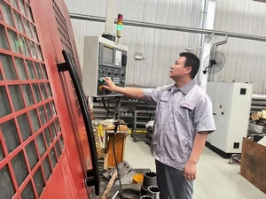 Área de Inspección